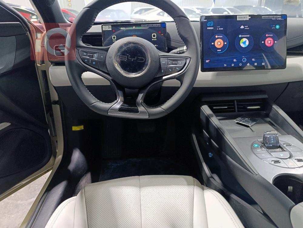 بي واي دي سيل 06 DM-i